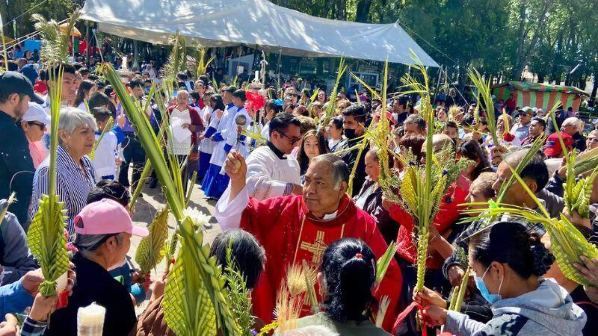 domingo de ramos en apizaco 2